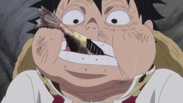 One Piece Episode 825  Watch One Piece E825 Online