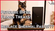 TekThing - Episode 163 - Petcube Bites Review! Should I Change My Thermal Paste??? Apartment...