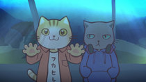 Hataraku Onii-san! - Episode 7 - Aquarium Attendant Buddies!