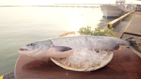 Trails To Tsukiji Season 4 Episode 4