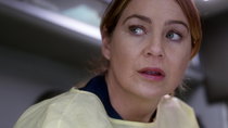 Grey's Anatomy - Episode 13 - You Really Got a Hold on Me