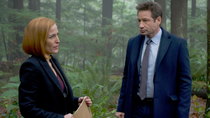 The X-Files - Episode 8 - Familiar