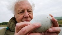 Natural World - Episode 1 - Attenborough's Wonder of Eggs