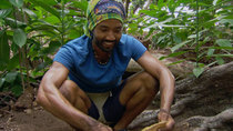 Survivor - Episode 7 - Gotta Risk It for the Biscuit