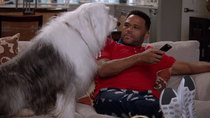 black-ish - Episode 19 - Dog Eat Dog World