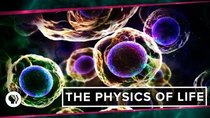 PBS Space Time - Episode 13 - Physics of Life