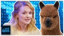 On the Spot - Episode 11 - 131 - The Alpaca Show