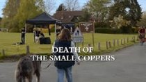 Midsomer Murders - Episode 2 - Death of the Small Coppers