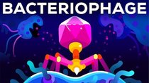 Kurzgesagt – In a Nutshell - Episode 7 - The Deadliest Being on Planet Earth — The Bacteriophage