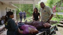 Hawaii Five-0 - Episode 25 - Waiho wale kahiko