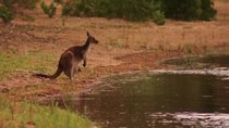 Wolf Creek - Episode 1 - Billabong