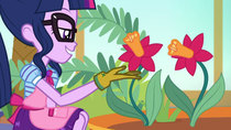 My Little Pony: Equestria Girls - Episode 8 - My Little Shop of Horrors