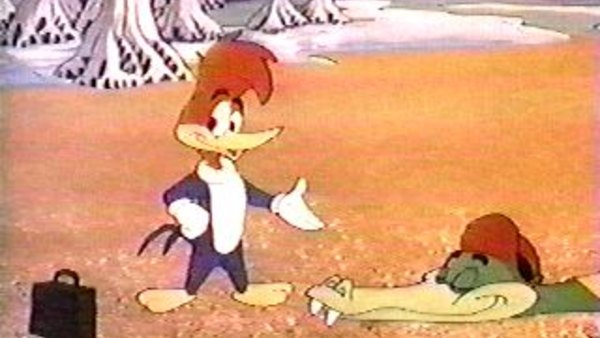 woody woodpecker 1962