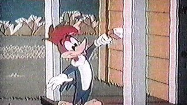 woody woodpecker 1962