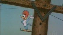 Woody Woodpecker and Friends - Episode 6 - Pecking Holes in Poles