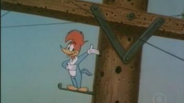 Woody Woodpecker and Friends - S1972E06 - Pecking Holes in Poles