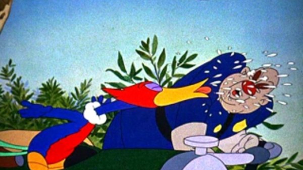 woody woodpecker the screwdriver
