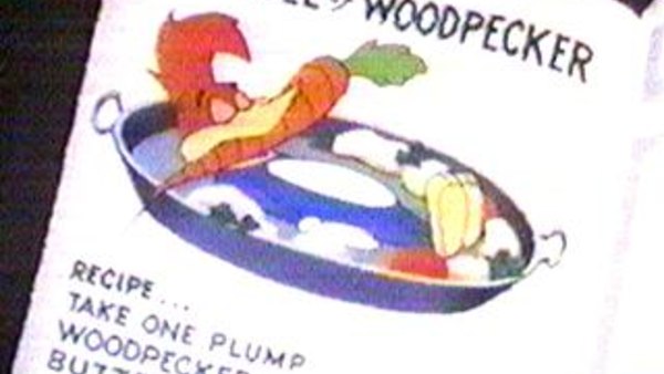 Woody Woodpecker And Friends Season 1960 Episode 12