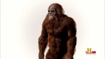 History Channel Documentaries - Episode 66 - Bigfoot: The Definitive Guide