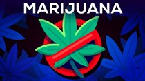 Kurzgesagt – In a Nutshell - Episode 8 - 3 Arguments Why Marijuana Should Stay Illegal Reviewed