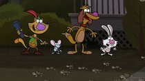 Nature Cat - Episode 5 - Lights Out for Sea Turtles