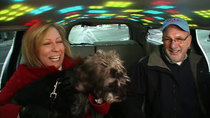 Cash Cab (US) - Episode 5 - Chicago: Dog Taxi