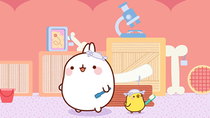 Molang - Episode 8 - The Goldfish