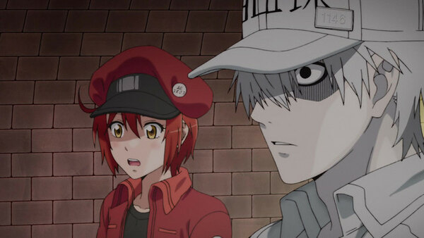 Watch Cells at Work! Season 1 Episode 13 - Hemorrhagic Shock (Part 2)  Online Now