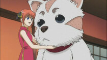 Gintama - Episode 72 - Let's Drive There / Doggy Meatballs Have a Fragrant Smell
