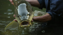 Jeremy Wade's Mighty Rivers - Episode 1 - The Ganges