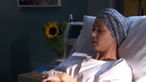 Home and Away - Episode 106