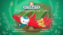 Octonauts - Episode 20 - Loggerhead Sea Turtle