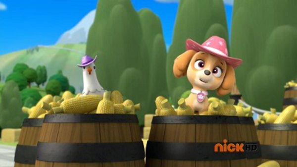 paw patrol pups save a hoot