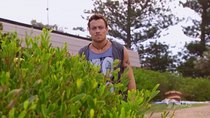 Home and Away - Episode 109