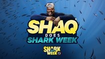 Shark Week - Episode 3 - Shaq Does Shark Week