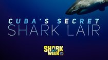 Shark Week - Episode 7 - Cuba's Secret Shark Lair