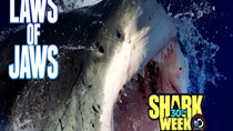 Shark Week - Episode 9 - Laws of Jaws