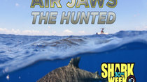 Shark Week - Episode 10 - Air Jaws: The Hunted