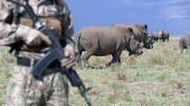 60 Minutes - Episode 38 - Friendly Fire, The Rhino Crisis