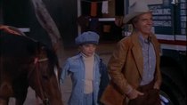 Banacek - Episode 5 - Horse of a Slightly Different Color