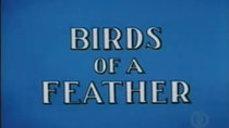 The Woody Woodpecker Show - Episode 3 - Birds of a Feather