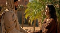 Jesus - Episode 19 - Chapter 19 (Jesus warns Mary about His true mission)