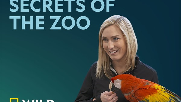 Secrets of the Zoo - S01E06 - Bringing Up Baby!