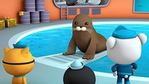 Octonauts - Episode 13 - The Harbor Seal