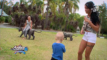 Les Anges (FR) - Episode 54