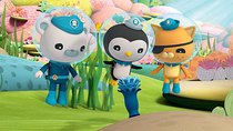 Octonauts - Episode 17 - The Immortal Jellyfish