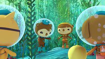 Octonauts - Episode 18 - The Urchin Invasion