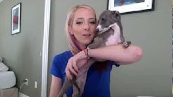 Jenna Marbles Bunny