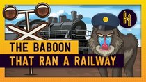 Half as Interesting - Episode 40 - The Baboon That Controlled a Railway for 9 Years