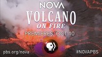 NOVA - Episode 10 - Volatile Earth: Volcano on Fire